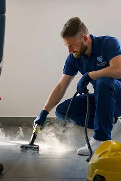 Chemical-free steam cleaning of upholstery by Delight IFM