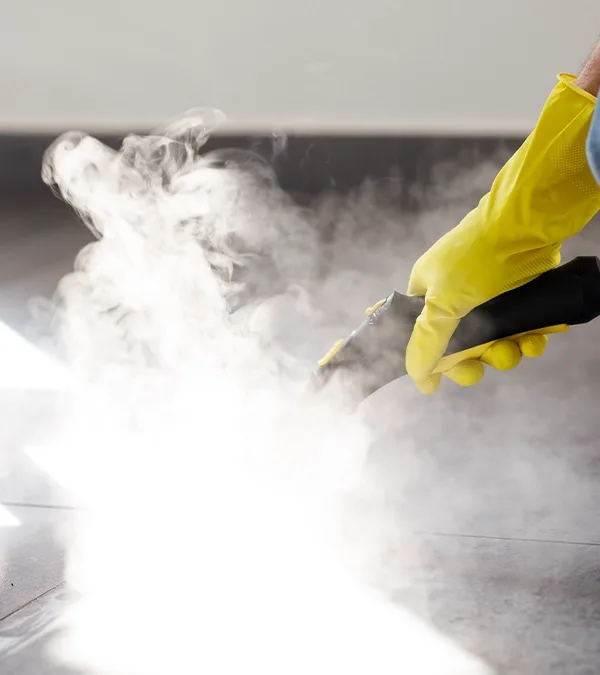 Steam cleaning service by Delight IFM in the UAE